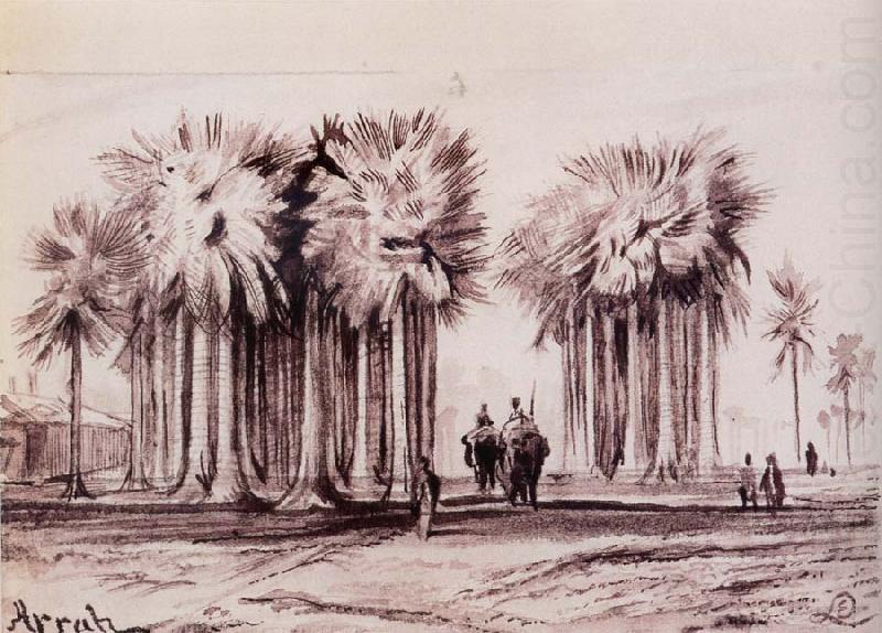 Lear, Edward Fan Palms at Arrah,Shahabad District,Bihar china oil painting image